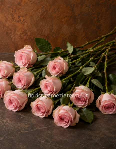 Rose colore rosa da comporre in mazzo per numero di steli.